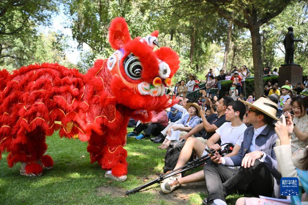 c8会员登录中心